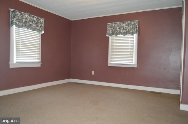 909 Ridge Rd, Westminster, MD 21157 - carpeted empty room with ornamental molding and baseboards