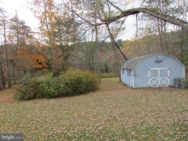 view of yard featuring a shed