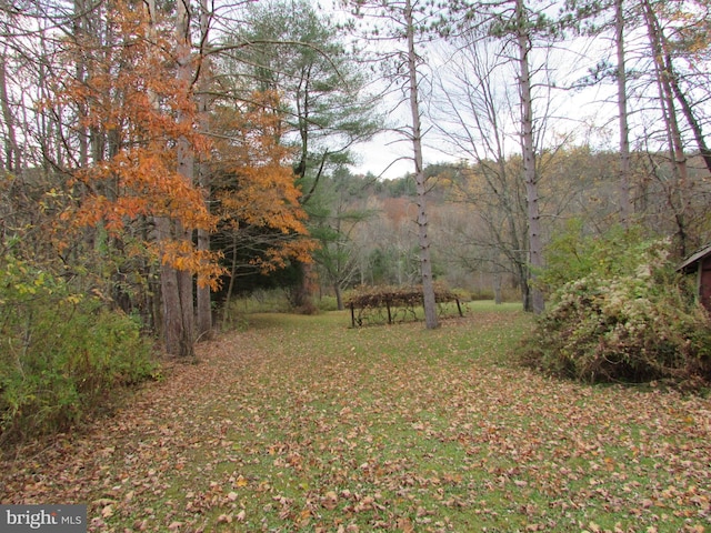 view of yard