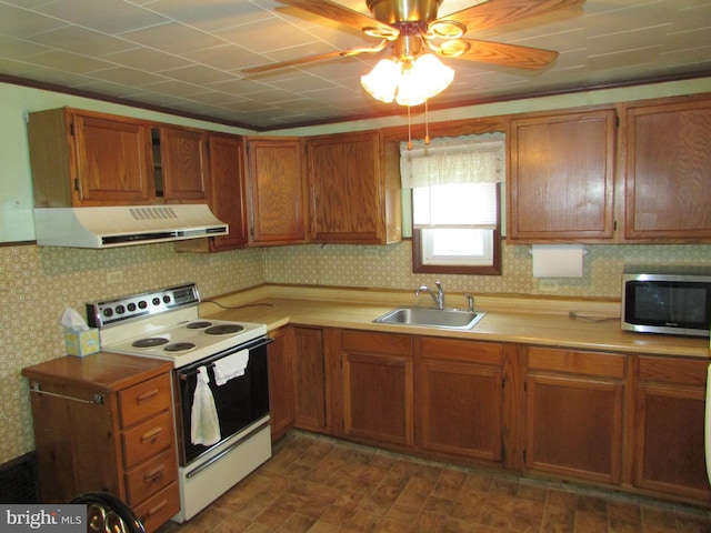 kitchen with sink, ceiling fan, ornamental molding, white electric range oven, and extractor fan