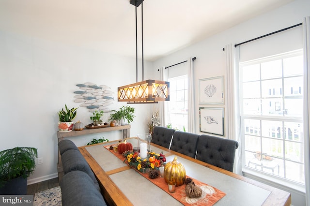 dining room with hardwood / wood-style flooring and a healthy amount of sunlight