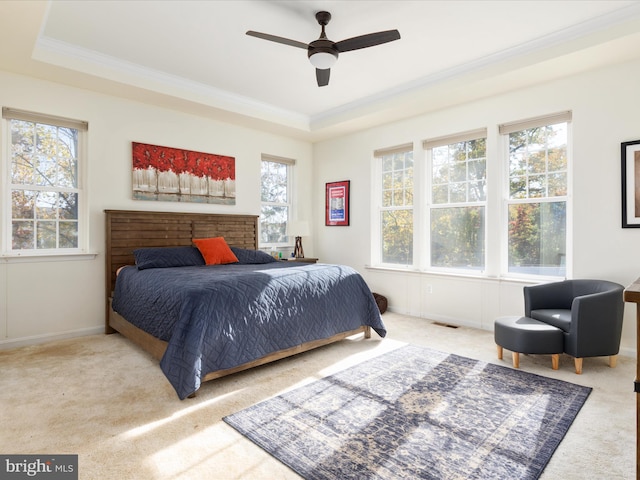 bedroom featuring multiple windows, carpet floors, a raised ceiling, and ceiling fan