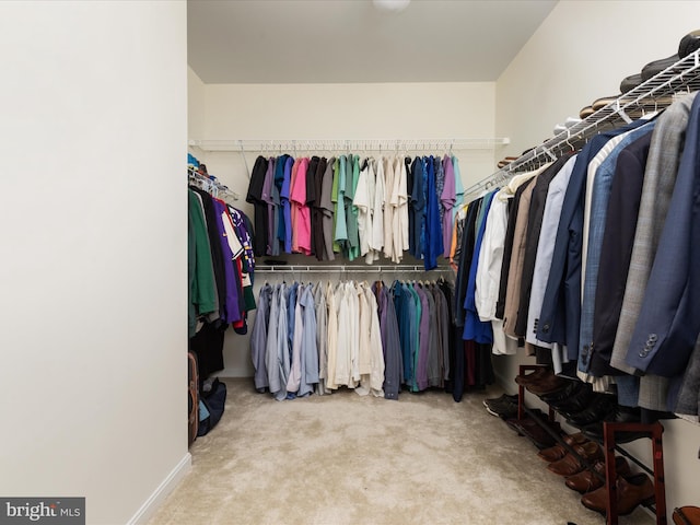 walk in closet featuring carpet