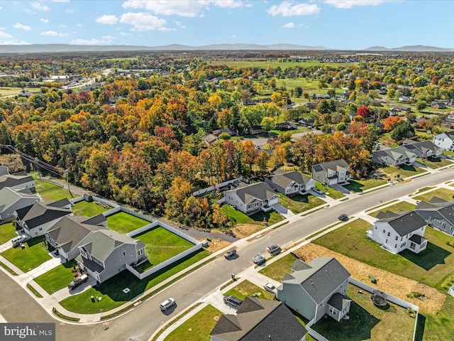 bird's eye view