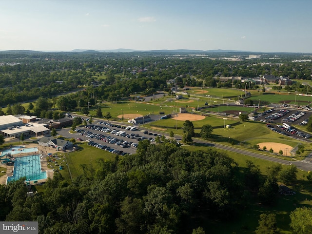 aerial view