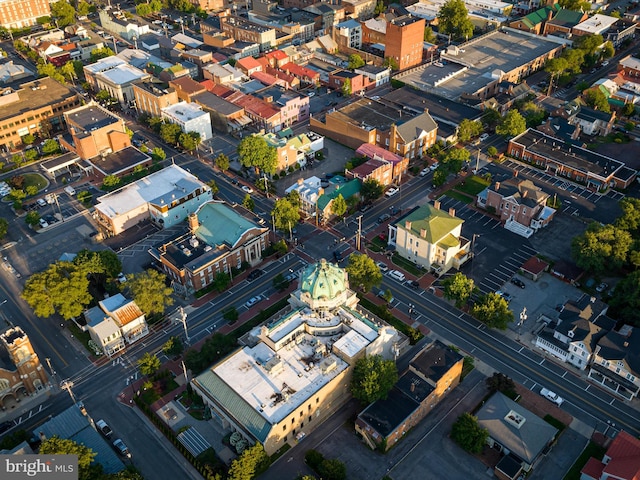 drone / aerial view