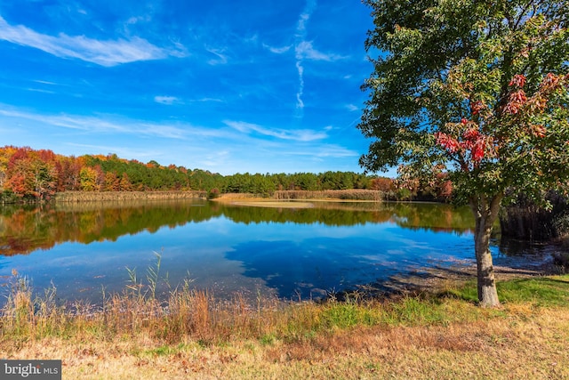 property view of water