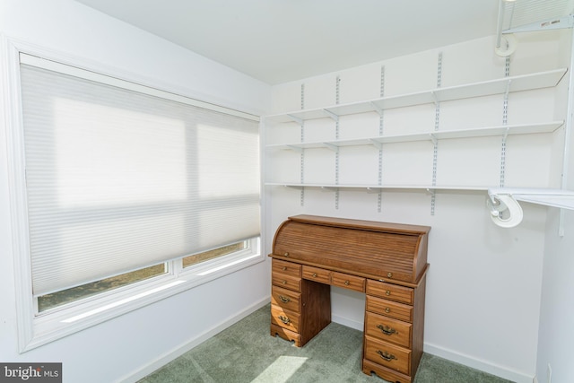 office featuring light colored carpet