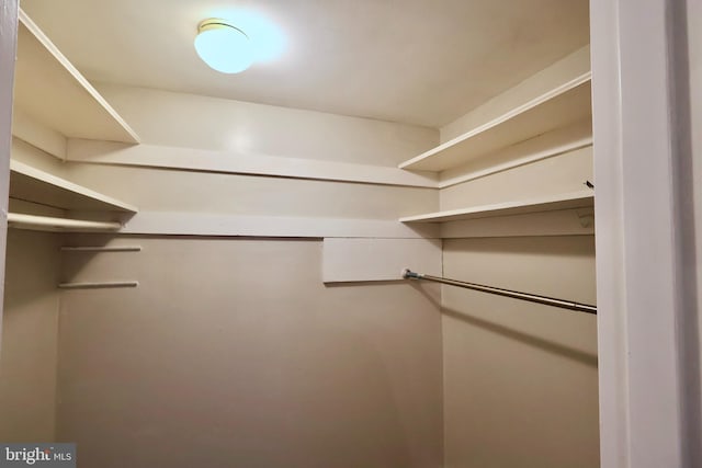 view of walk in closet