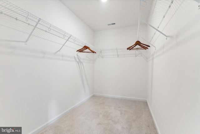 spacious closet with carpet flooring