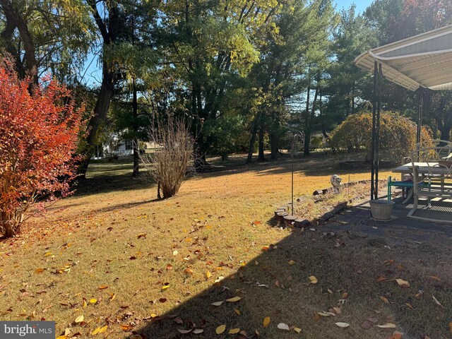 view of yard featuring a patio area