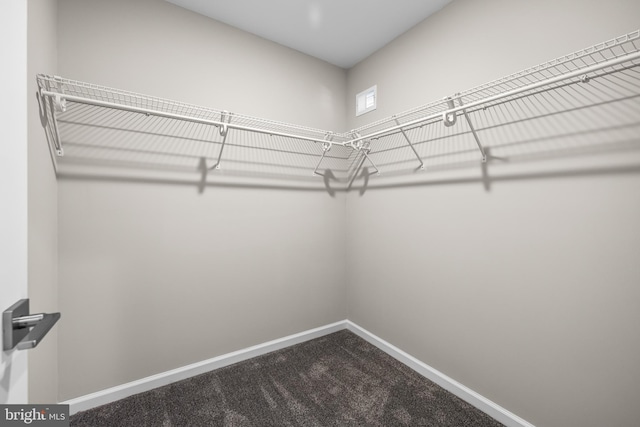 1020 N Eden St, Baltimore, MD 21205 - spacious closet with dark carpet
