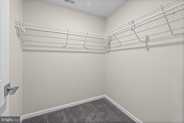 1020 N Eden St, Baltimore, MD 21205 - spacious closet with dark carpet