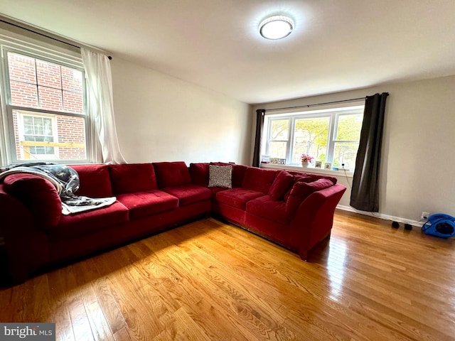 living room featuring light hardwood / wood-style floors