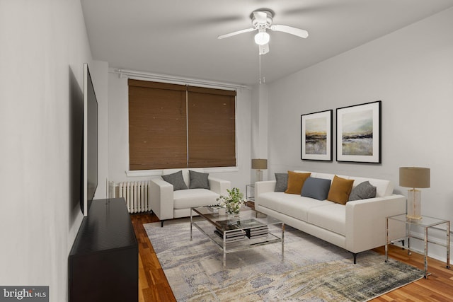 living room with ceiling fan, wood-type flooring, and radiator