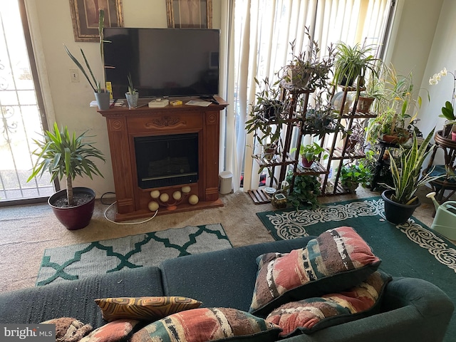 living room with carpet floors