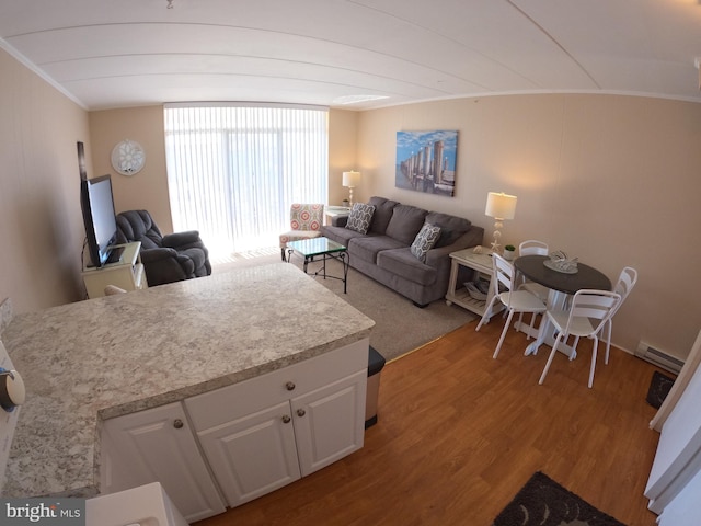 living room with a baseboard radiator, crown molding, light hardwood / wood-style flooring, and vaulted ceiling