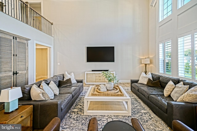 living room featuring hardwood / wood-style floors and a high ceiling