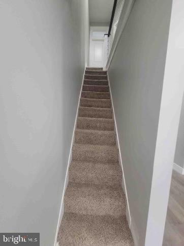 stairs with carpet