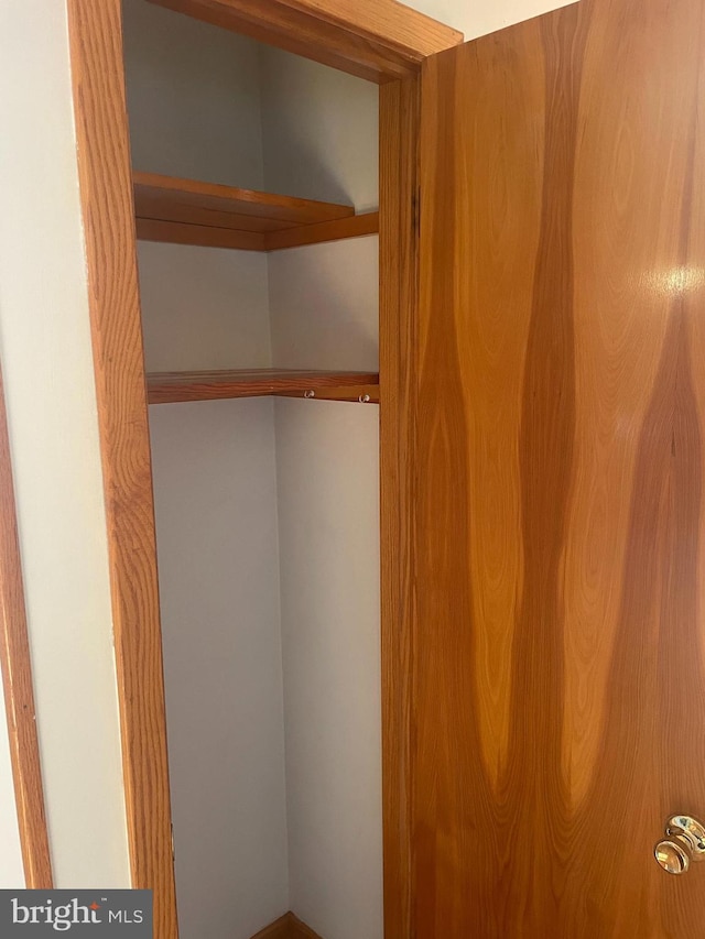 view of closet