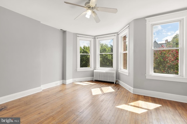 unfurnished room with light hardwood / wood-style flooring, ceiling fan, radiator, and a wealth of natural light