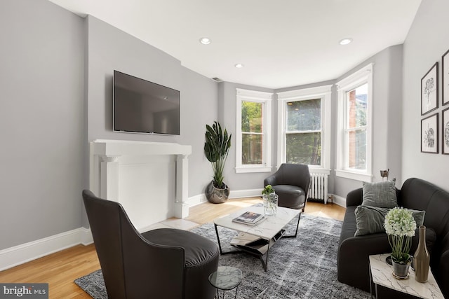 living room with light hardwood / wood-style floors and radiator