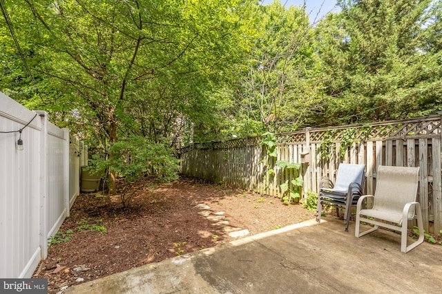 view of yard with a patio area