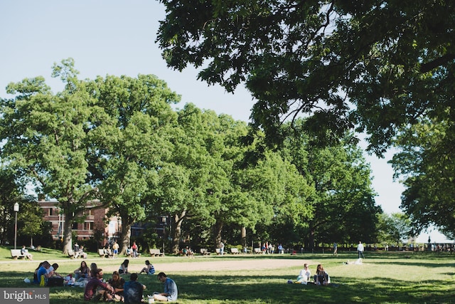 view of community with a lawn