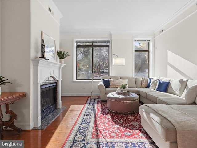 living area featuring baseboards, crown molding, wood finished floors, and a fireplace