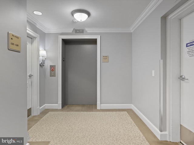 hall with baseboards, ornamental molding, and elevator
