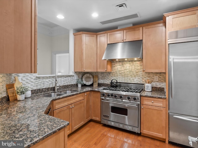 kitchen with sink, tasteful backsplash, dark stone counters, light hardwood / wood-style floors, and high quality appliances