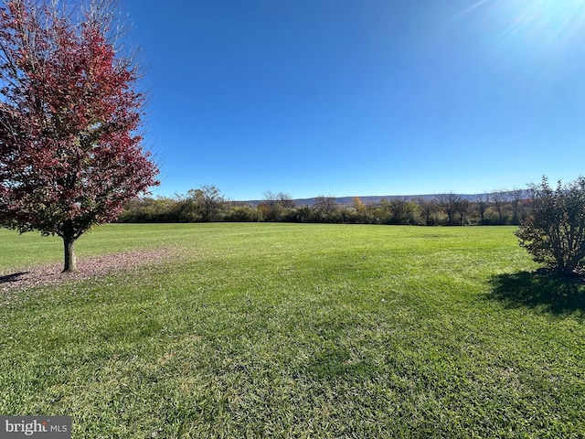 view of yard with a rural view