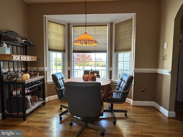 dining room with hardwood / wood-style flooring