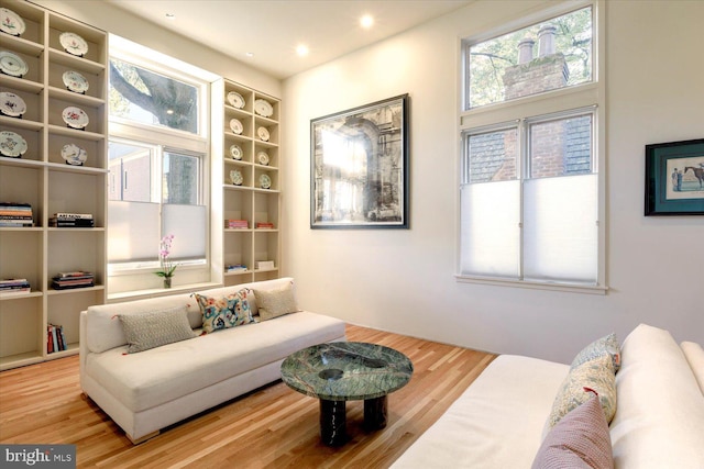 living area featuring recessed lighting and wood finished floors
