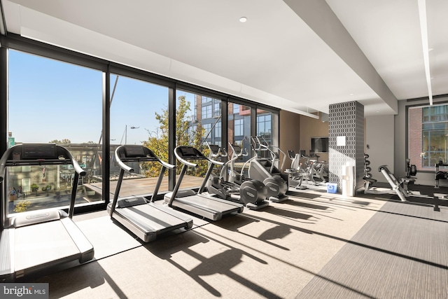 workout area featuring a healthy amount of sunlight