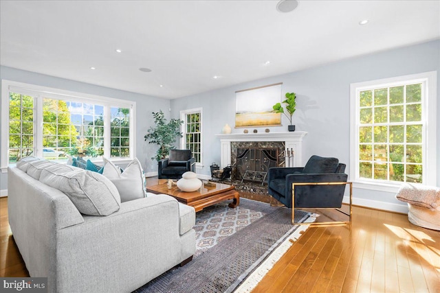 living room with a premium fireplace and hardwood / wood-style floors