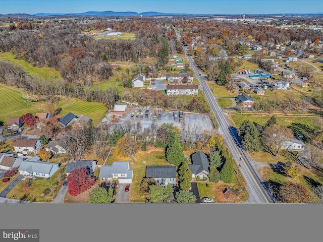 birds eye view of property with a mountain view