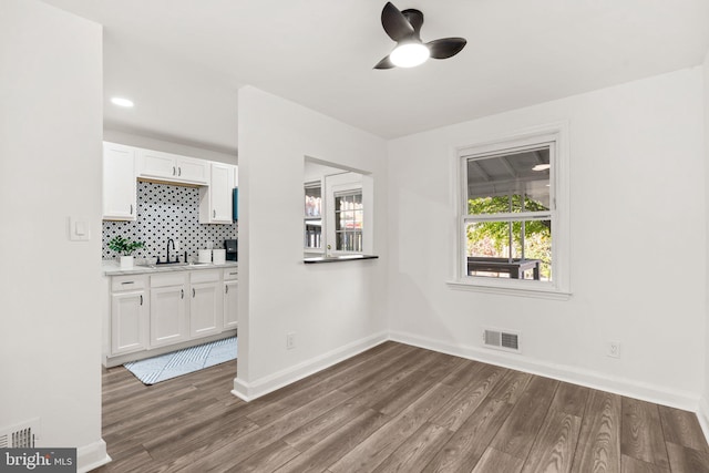 interior space with ceiling fan, sink, and dark hardwood / wood-style floors