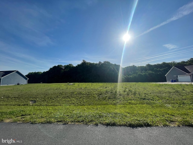 view of yard with a rural view