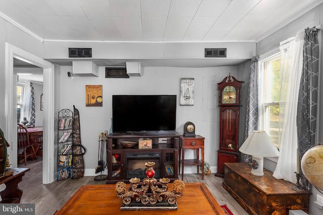 living room with hardwood / wood-style flooring and crown molding