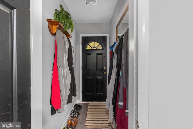 mudroom featuring wood-type flooring