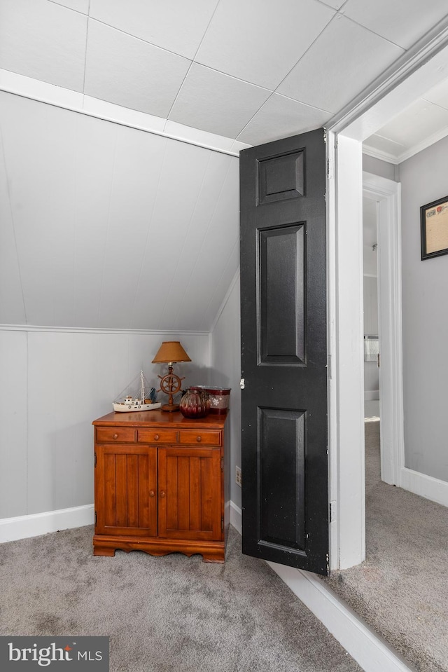 bonus room featuring vaulted ceiling and light carpet