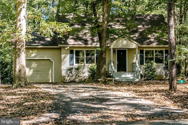 view of front facade with a garage