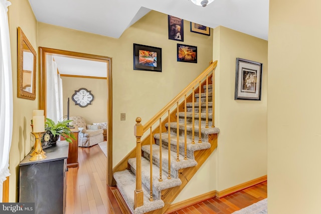 staircase with wood-type flooring