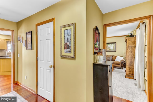 hallway with hardwood / wood-style floors