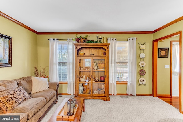 carpeted living room with a wealth of natural light and crown molding