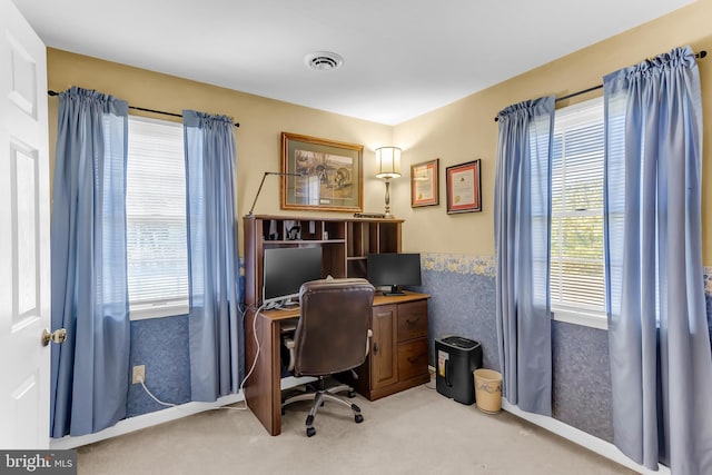 carpeted office space with a wealth of natural light