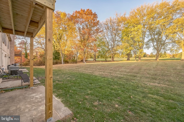 view of yard featuring a patio