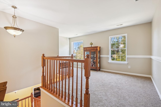 interior space with carpet floors