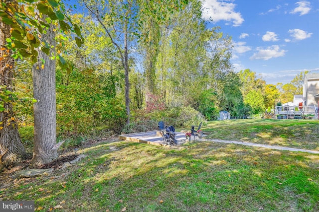 view of yard with a patio and a storage shed